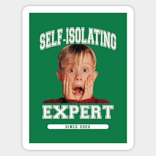 Kevin McCallister Self Isolating Expert Home Alone Sticker